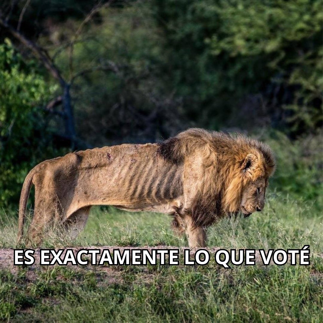 diego_ixce's tweet photo. @LiliXXI https://t.co/jCRYlpuVru