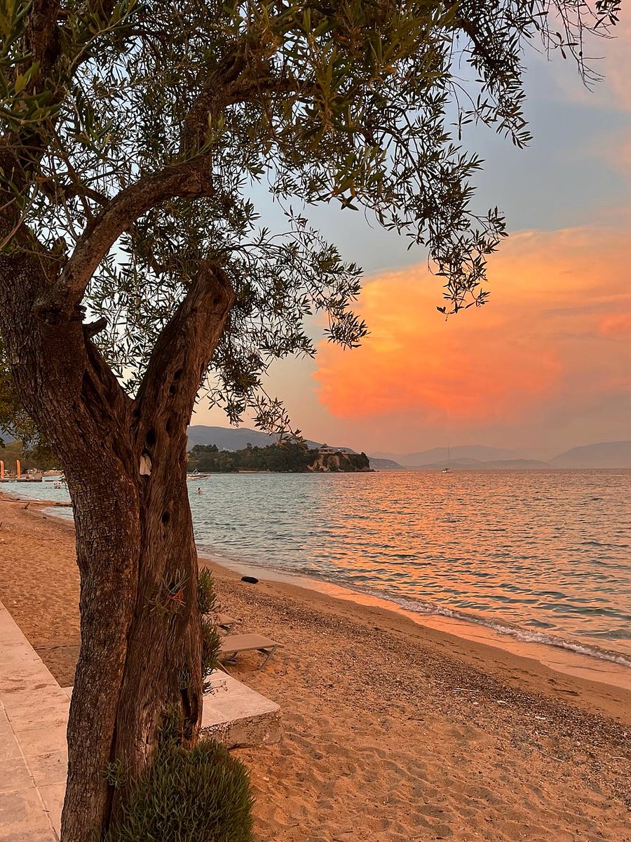 sanchezpedro2's tweet photo. Une soirée en Grèce, entre farniente et plaisirs gustatifs, pour savourer un repos bien mérité. https://t.co/vFX5un9f8J