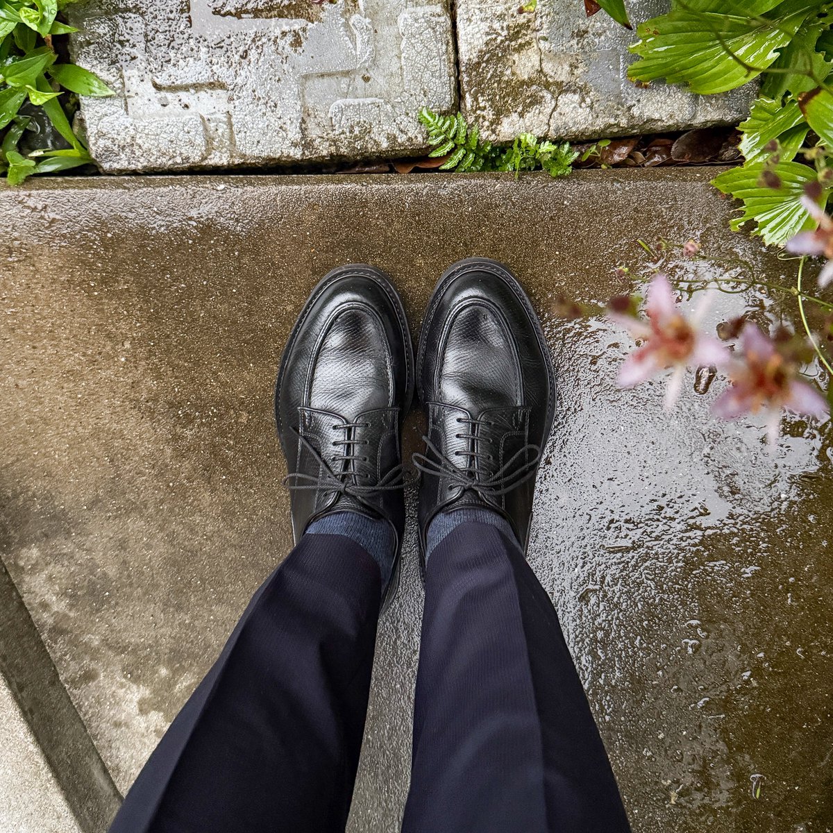 sthkzn's tweet photo. UNIONIMPERIAL

朝からしっかりした雨。
シルバーウィークの天気が心配になってきました。

#unionimperial #ユニオンインペリアル #sotd #今日の足元 https://t.co/UIOaGSGnYm