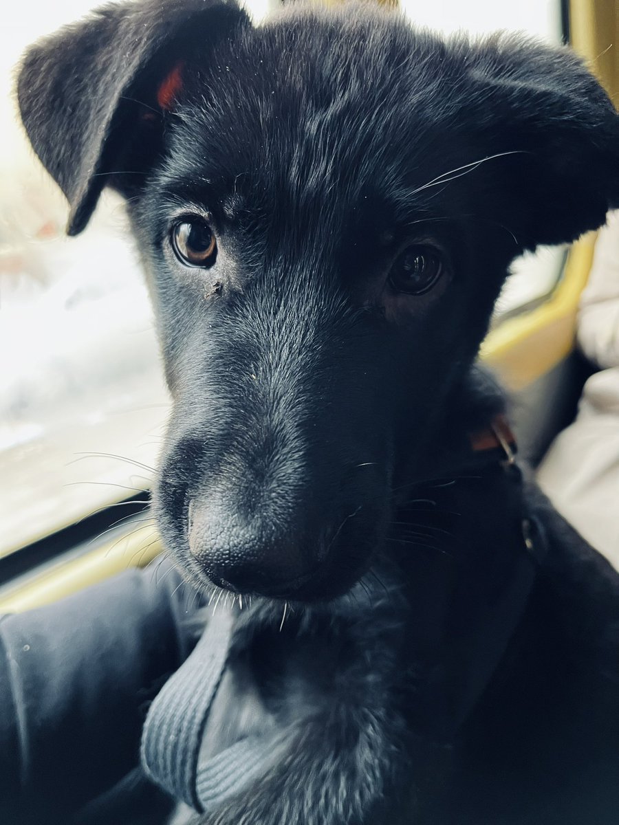 psyhfuck's tweet photo. Тоді - зараз https://t.co/tewuU6Z3sO