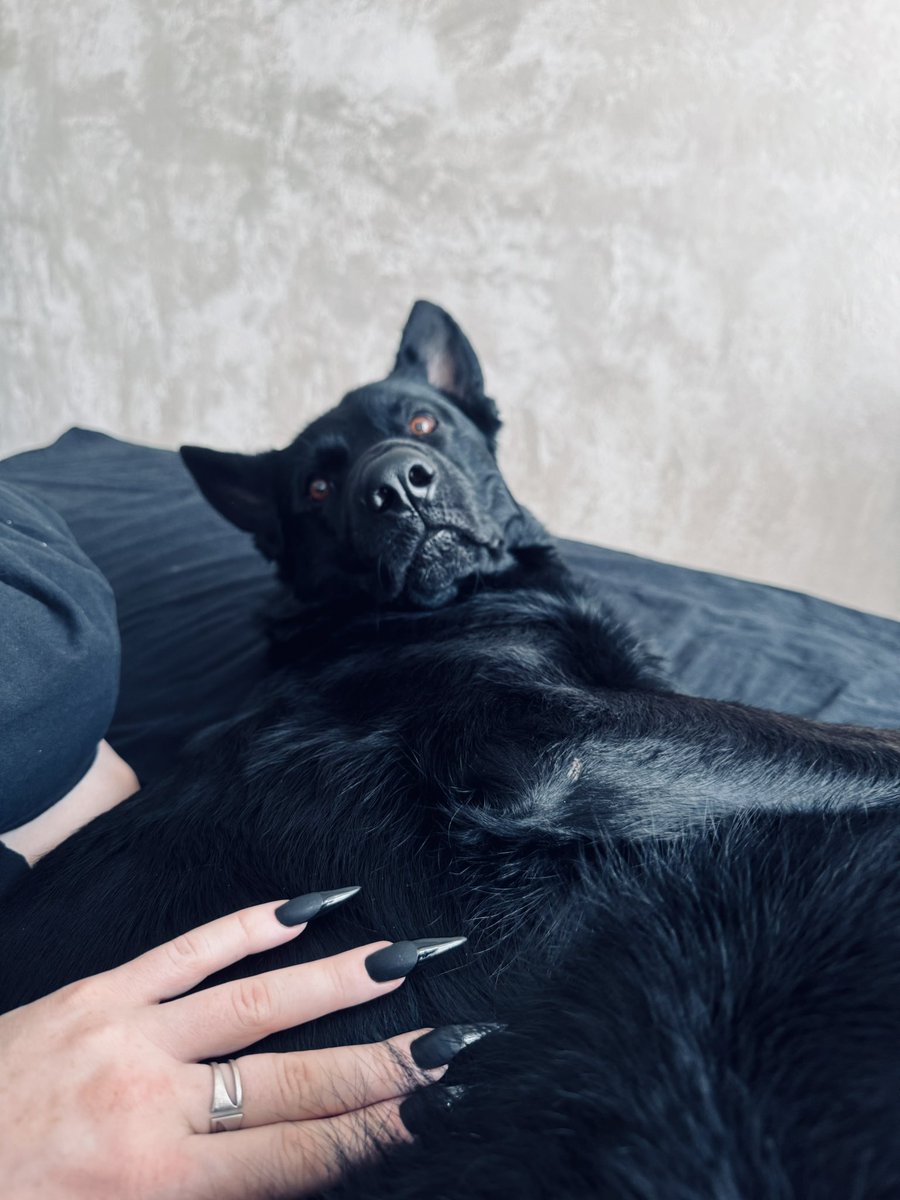 psyhfuck's tweet photo. Тоді - зараз https://t.co/tewuU6Z3sO
