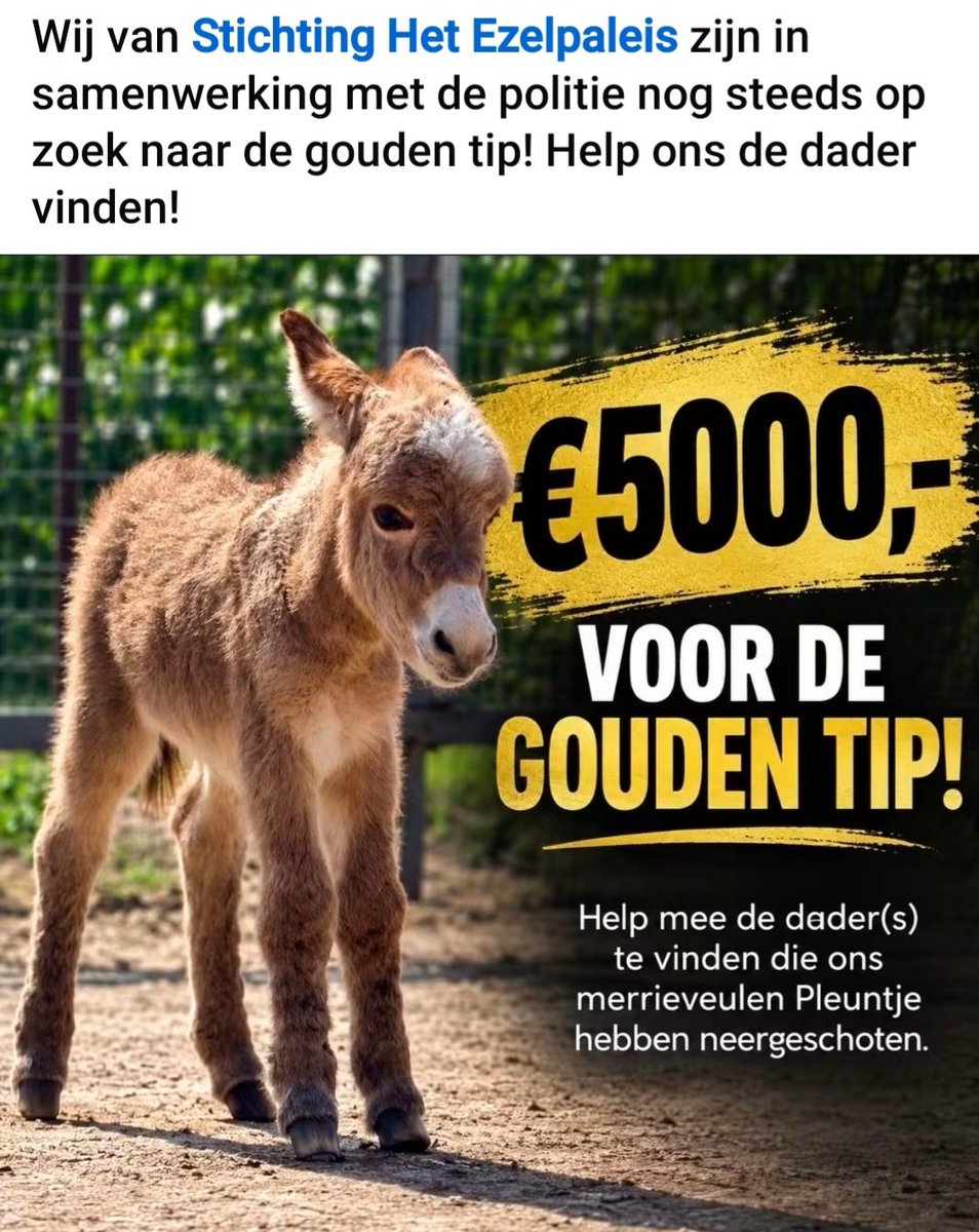 hanegem10van's tweet photo. Wie oh wie heeft die gouden tip 🙏🏻 https://t.co/fwUUjwxP1P