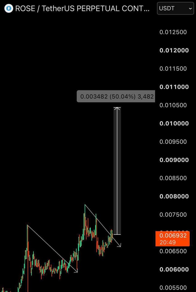 Raymondcryptoo's tweet photo. $ROSE | 0.01 is coming. https://t.co/Netr7wBO4x