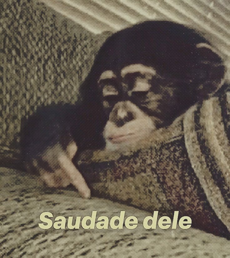 ZachVampLegacy's tweet photo. Saudades do meu Noivo!!!!! https://t.co/sdr9KbDYBL