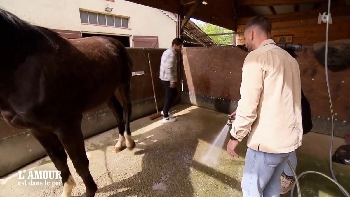 amourpreM6's tweet photo. Qui sera le prochain castré ?
#adp #adp2026 #adp26 https://t.co/XOUR01aGPa