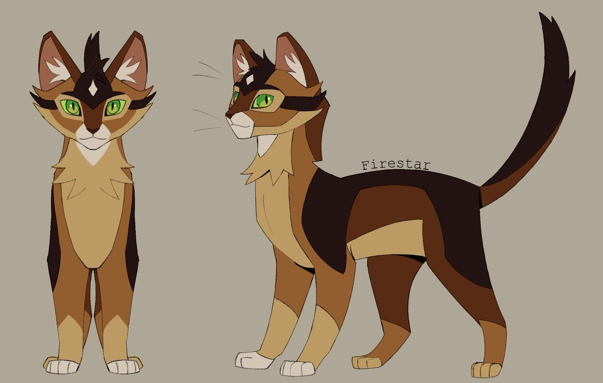 Cat_Frost04's tweet photo. Modify the design slightly so that it matches a different version of him
#warriorcats #firestar #fireheart https://t.co/9yDfwnVsiQ