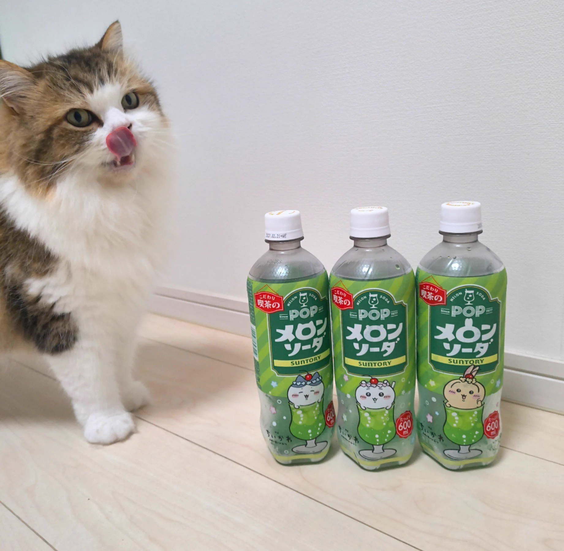 まちゃこ😻🍬 on X: 
