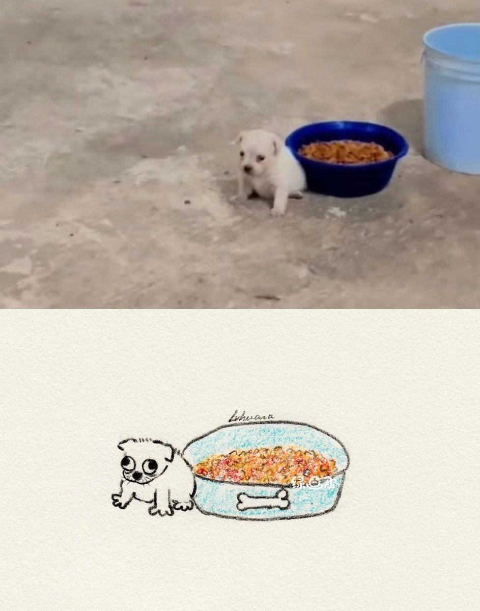 everythingdogss's tweet photo. https://t.co/78VgJ4fAd2