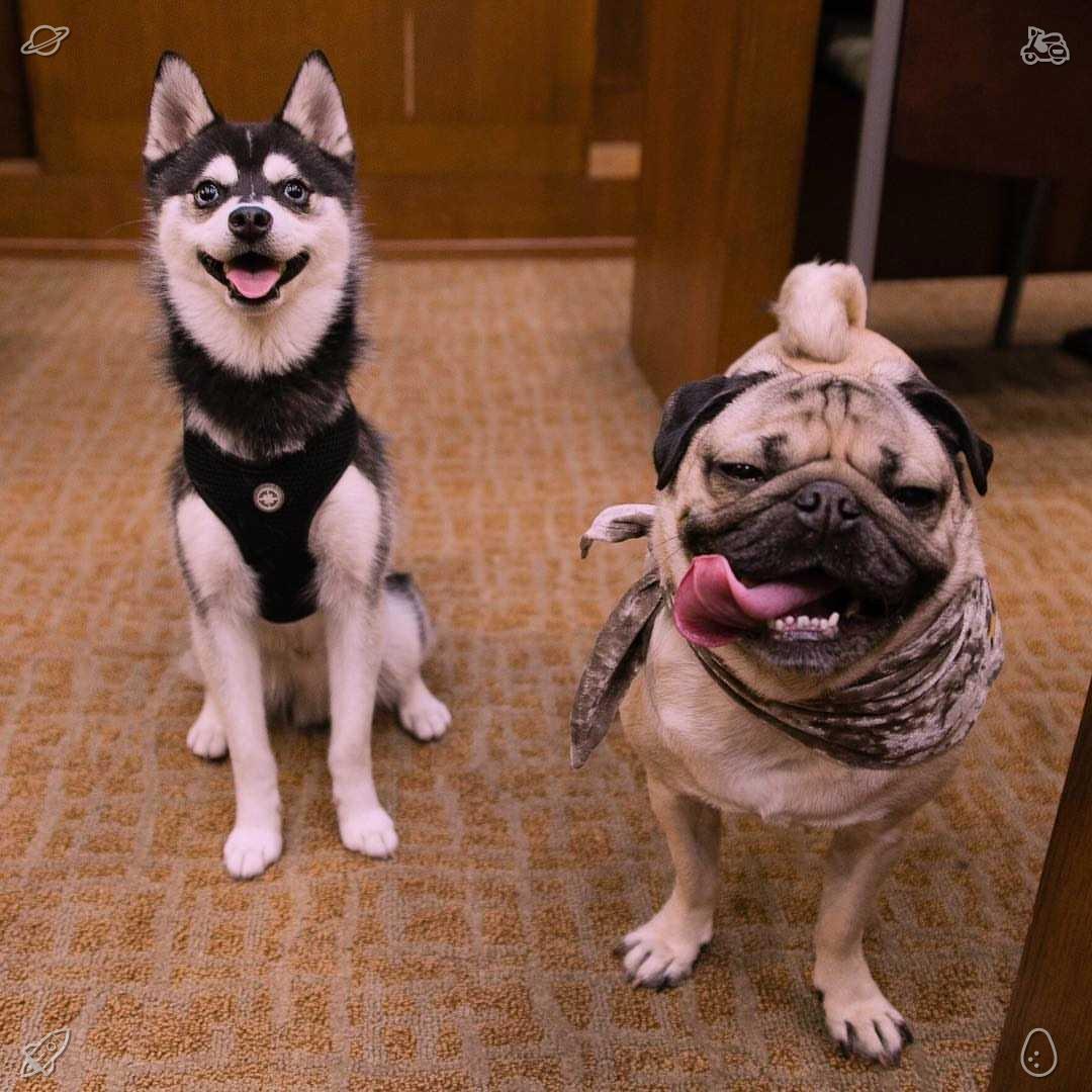 byebyekrub's tweet photo. Clara nodded. “You’re right. We need to take the amulet with us. But we have to be careful. If the Order of the Lotus is watching the apartment, they’ll see us leave with it. We need to make a plan to get out without being seen.”💇Tip: calibrating tool accuracy + preparing w https://t.co/xSk8Ut14fh