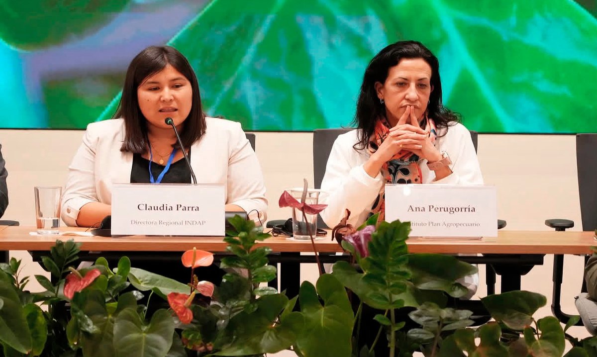 INDAP_Chile's tweet photo. En Costa Rica📍Ante gobiernos de América y entidades para la ruralidad reunidos en la Semana de la Agricultura Digital #IICA, INDAP presentó  la experiencia en #Ñuble de conectividad y digitalización de la asistencia en la agricultura familiar campesina 
👉https://t.co/4CK3Vq31BD https://t.co/QP11dIsTCH
