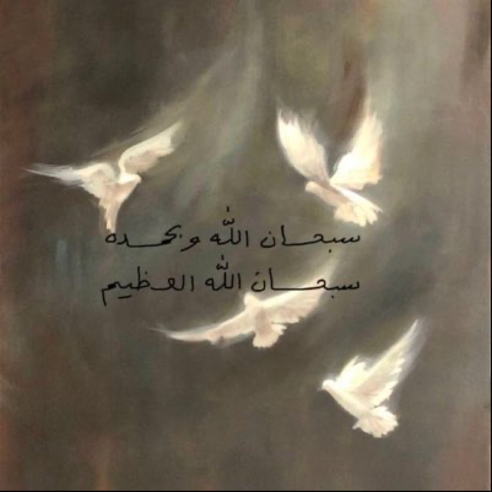 salih954's tweet photo. https://t.co/KEe5DFj0VZ