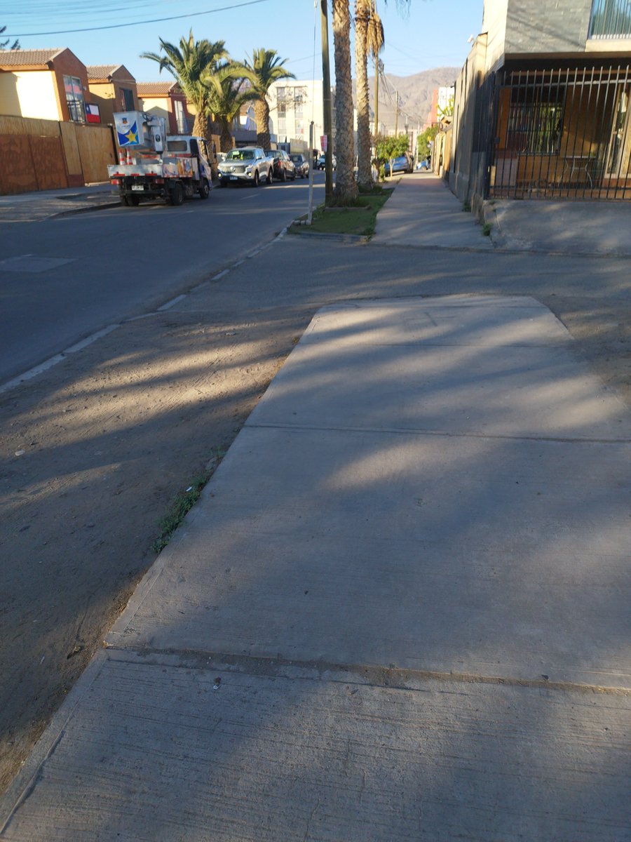 jocecsc's tweet photo. Saliendo a tocar pasto después de estar todo el día jugando zelda https://t.co/jPVgG6mKa9