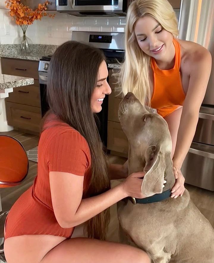 Mimiknotti's tweet photo. Me and my girlfriend want to ride and go crazy on my love... I hope he satisfy us so well #zoomom #usa #zoocontent #dogknot #doggirl #knotting #k9knot #zooporn  #usatruckdrivers #ArtofZoo #Beastiality #Knott #Dogmom #Zoophilia #Taboo #kinky #LosAngeles 
https://t.co/hHF1Ig4jOR https://t.co/uhISaWheBg