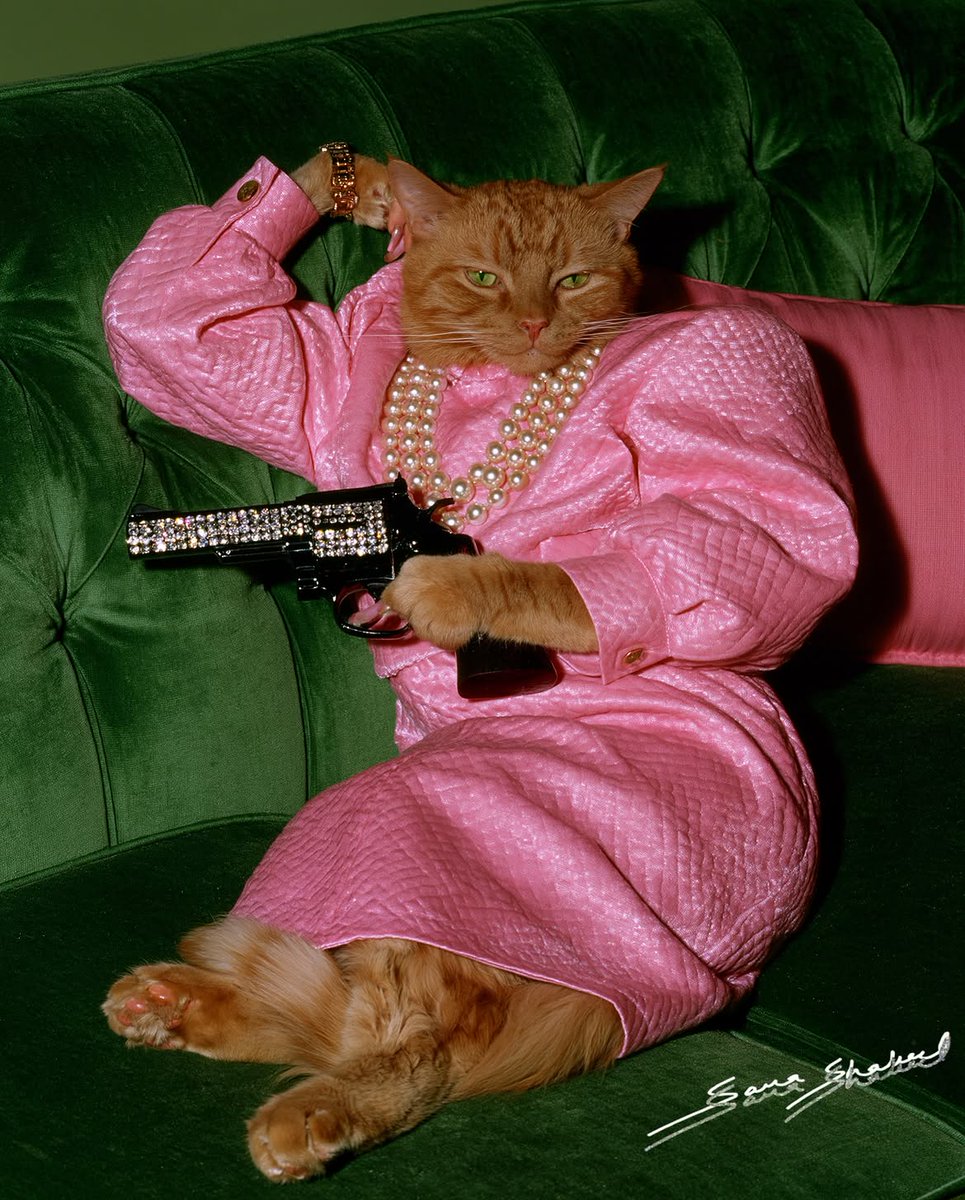 animalswifguns's tweet photo. The "Me in the 80s" Trend but it's Animals wif solana:5mPVUc7pDVZnJx28vrZFwYQcsMqqWsoW3QWdNTmZpump 🕺🪩 Suave. https://t.co/3uEGsGS2Fd