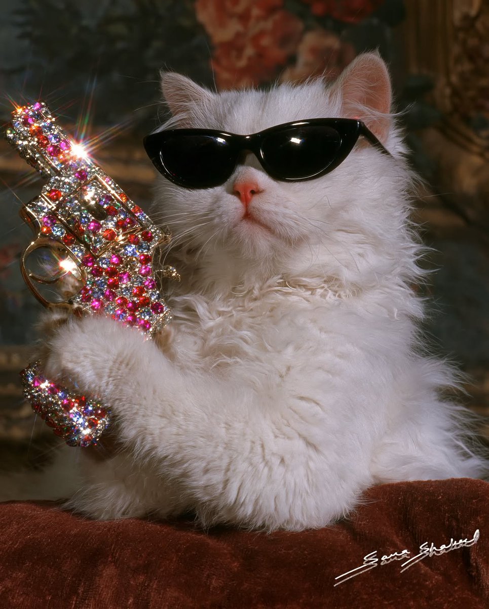 animalswifguns's tweet photo. The "Me in the 80s" Trend but it's Animals wif solana:5mPVUc7pDVZnJx28vrZFwYQcsMqqWsoW3QWdNTmZpump 🕺🪩 Suave. https://t.co/3uEGsGS2Fd