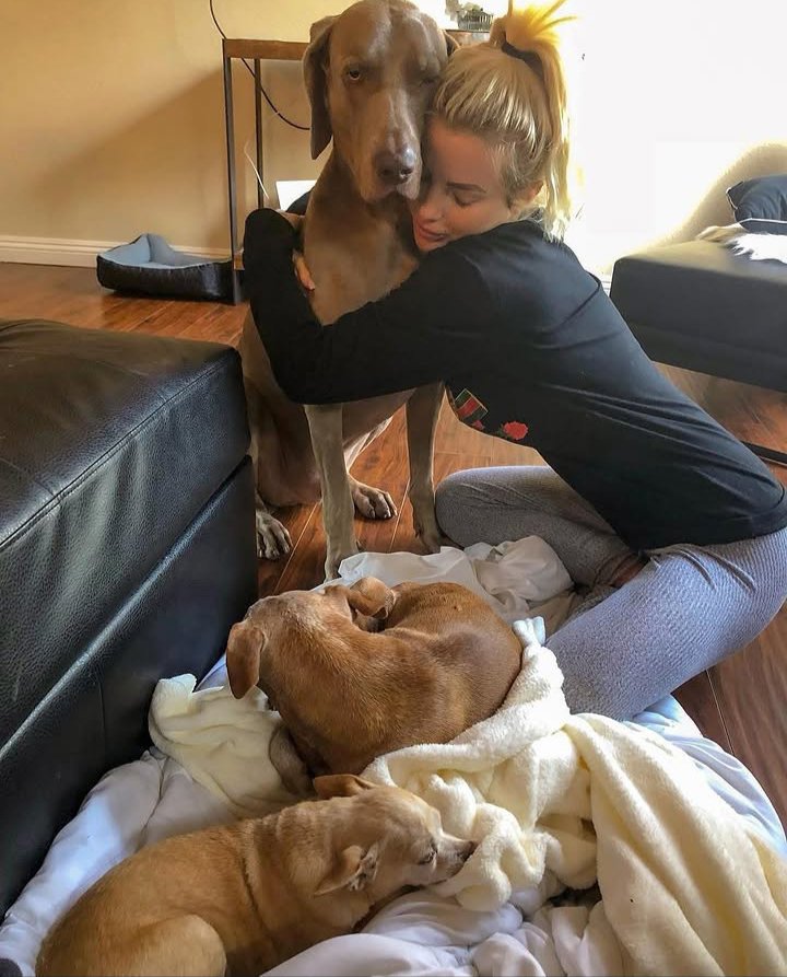 Ashleyknotcp's tweet photo. Happy and joy is all what I get from them ❤️🥒🐶❤️‍🩹#dogknotting #zoomom #dogmom #usa #zoocontent #dogknot #doggirl #knotting #k9knot #zooporn #dog #love #usatruckdrivers #ArtofZoo #Beastiality #Knott #Dogmom #Zoophilia #Taboo #kinky #LosAngeles 
https://t.co/GQt9zJVegh https://t.co/sDbMoSdJXz