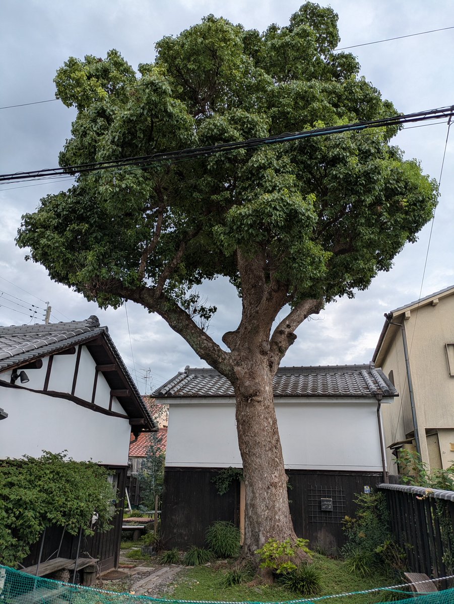 leathergarden's tweet photo. おはようございます🛖 https://t.co/iFffVKBCGV