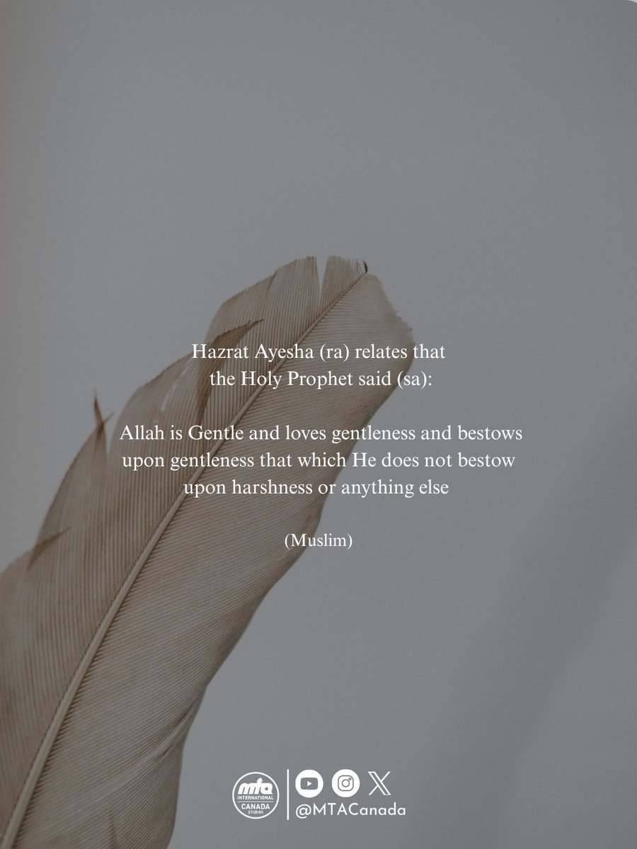 MTACanada's tweet photo. Speak softly, act kindly, and trust Allah’s reward.

@muslimtv @LajnaCanada @MuslimTVUSA @AMWSACanada @AMYACanada @nasiratcanada #Hadith #Islam #Taqwa #Sunnah #HolyProphet https://t.co/RsLPUVXg3h