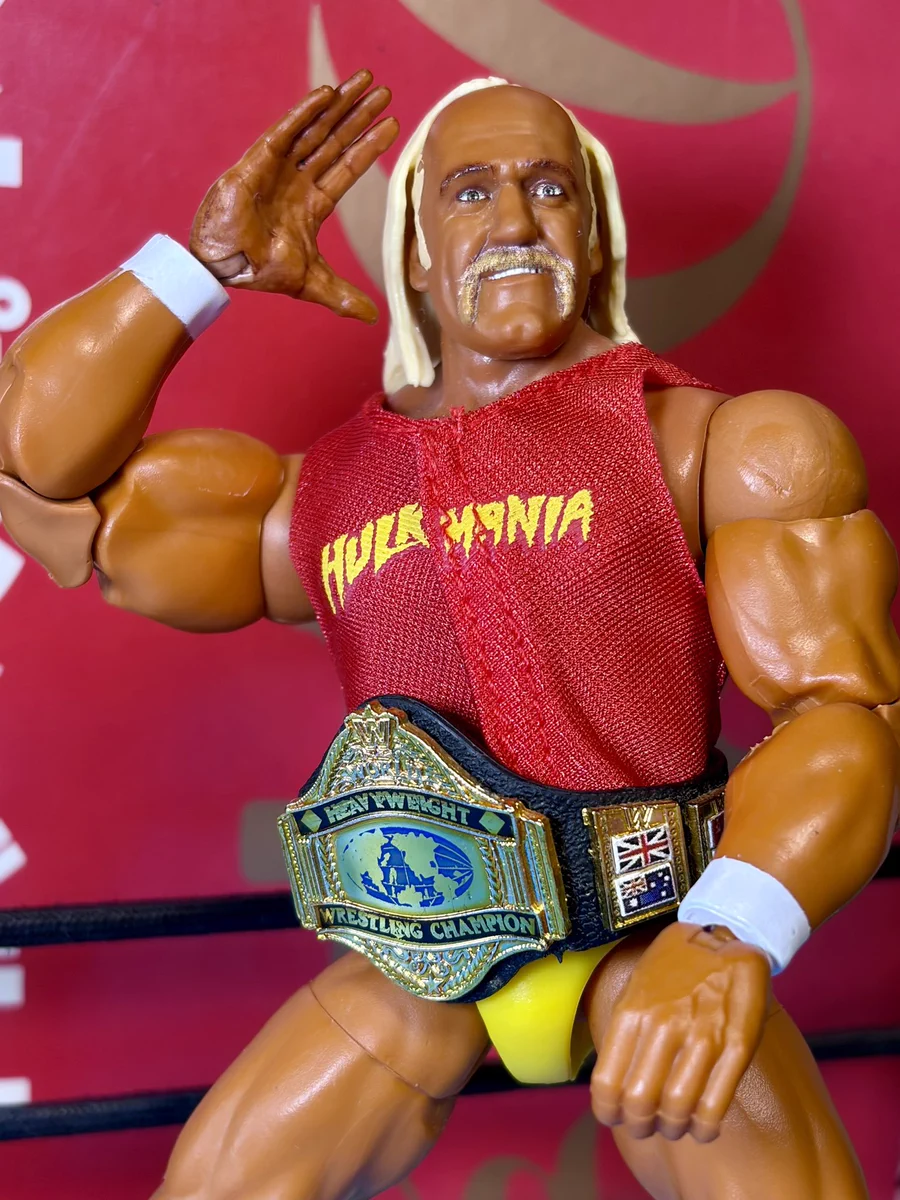 WCW/フィギュア/nwo/ホーガン/ゴールドバーグ/スティング/プロレス/限定 コイコイネバーランド on X: 
