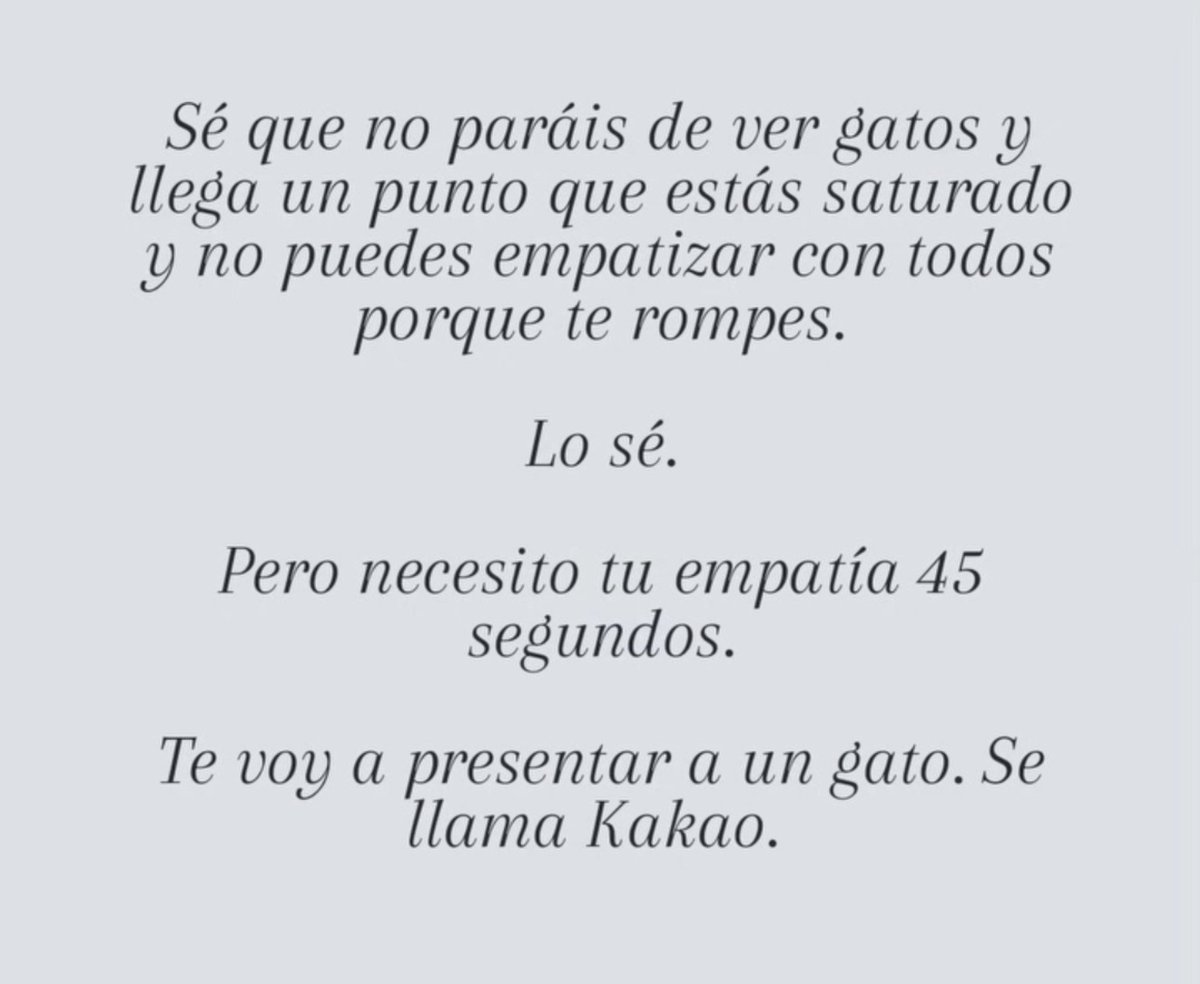 Neinei_rescue's tweet photo. Por favor 🆘 https://t.co/rt03Qa1DzW