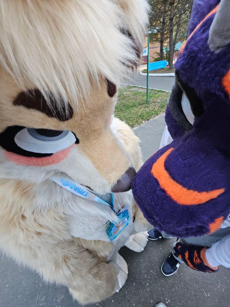 kobdragon's tweet photo. forgor to call dog friend "good boy" for 2 seconds and received nastiest side-eye of my life https://t.co/4xjhIP4lWD