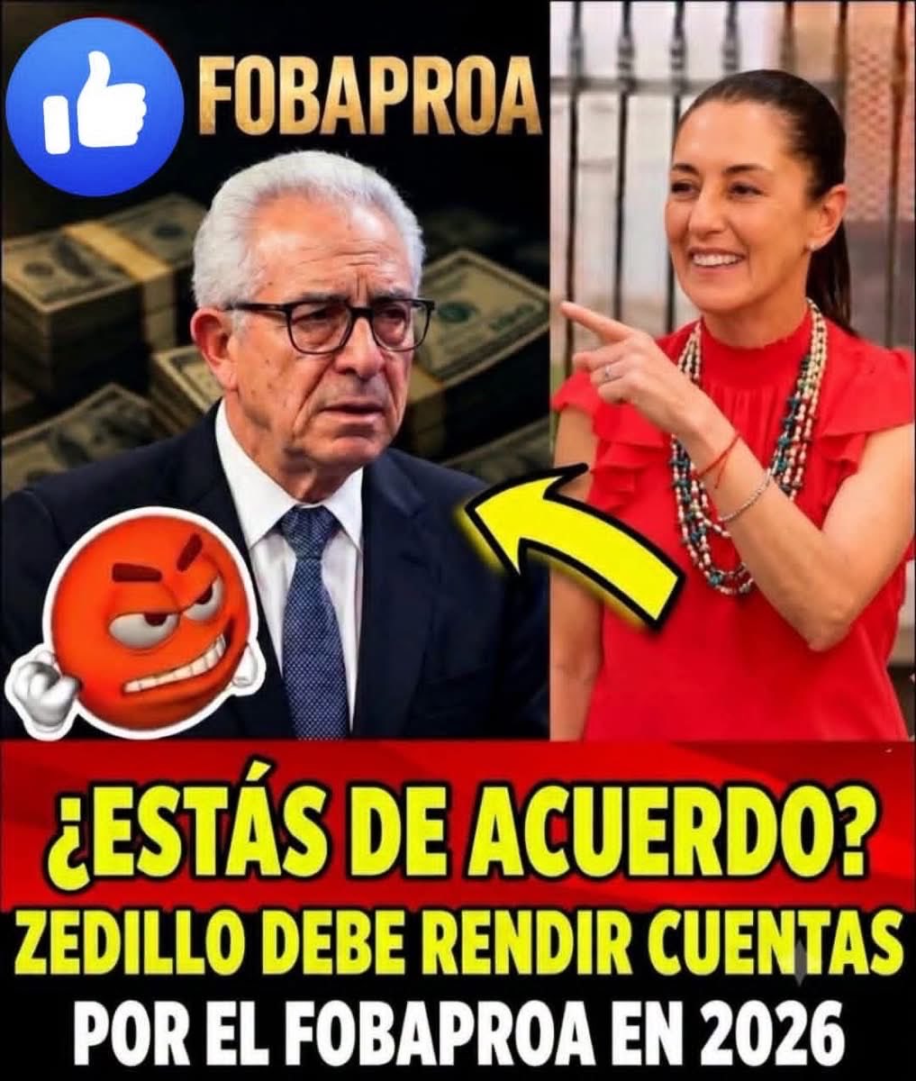 JORDELAS1's tweet photo. https://t.co/aLJkaLUWnX