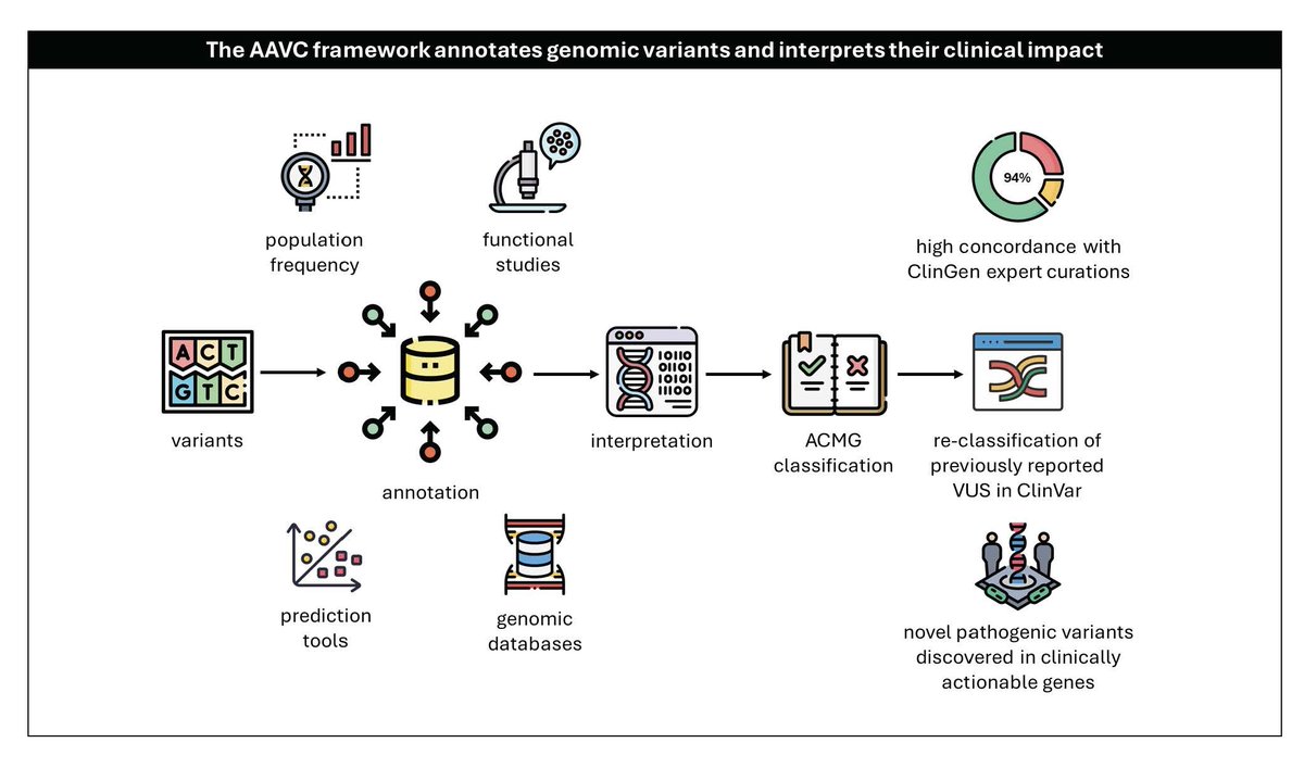 GIMJournal's tweet photo. New tool automates variant classification with high concordance to expert curation, improves handling of VUS, noncanonical splice, and stop-lost variants, and could help genomic interpretation faster, more consistent, and more clinically useful. https://t.co/Ab46Q3T232 https://t.co/auSjKxbePB
