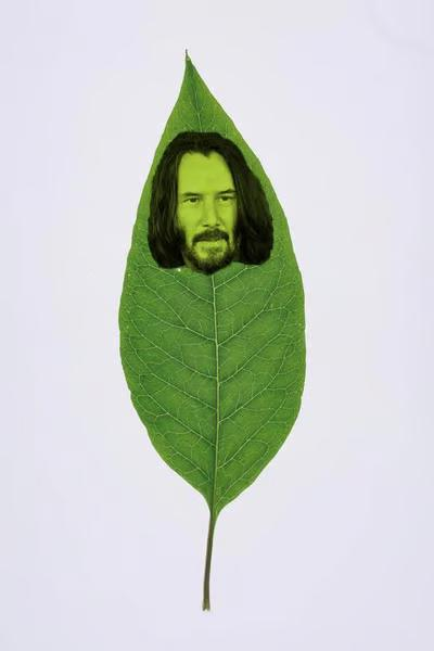 LizzySolll's tweet photo. I present: 

Keanu Leaves https://t.co/AS8G5sirdC