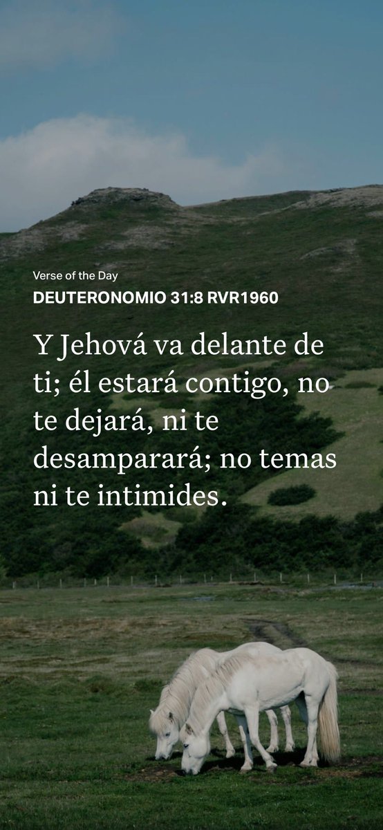 GabrielaParedes's tweet photo. https://t.co/XsO5OHNbR1