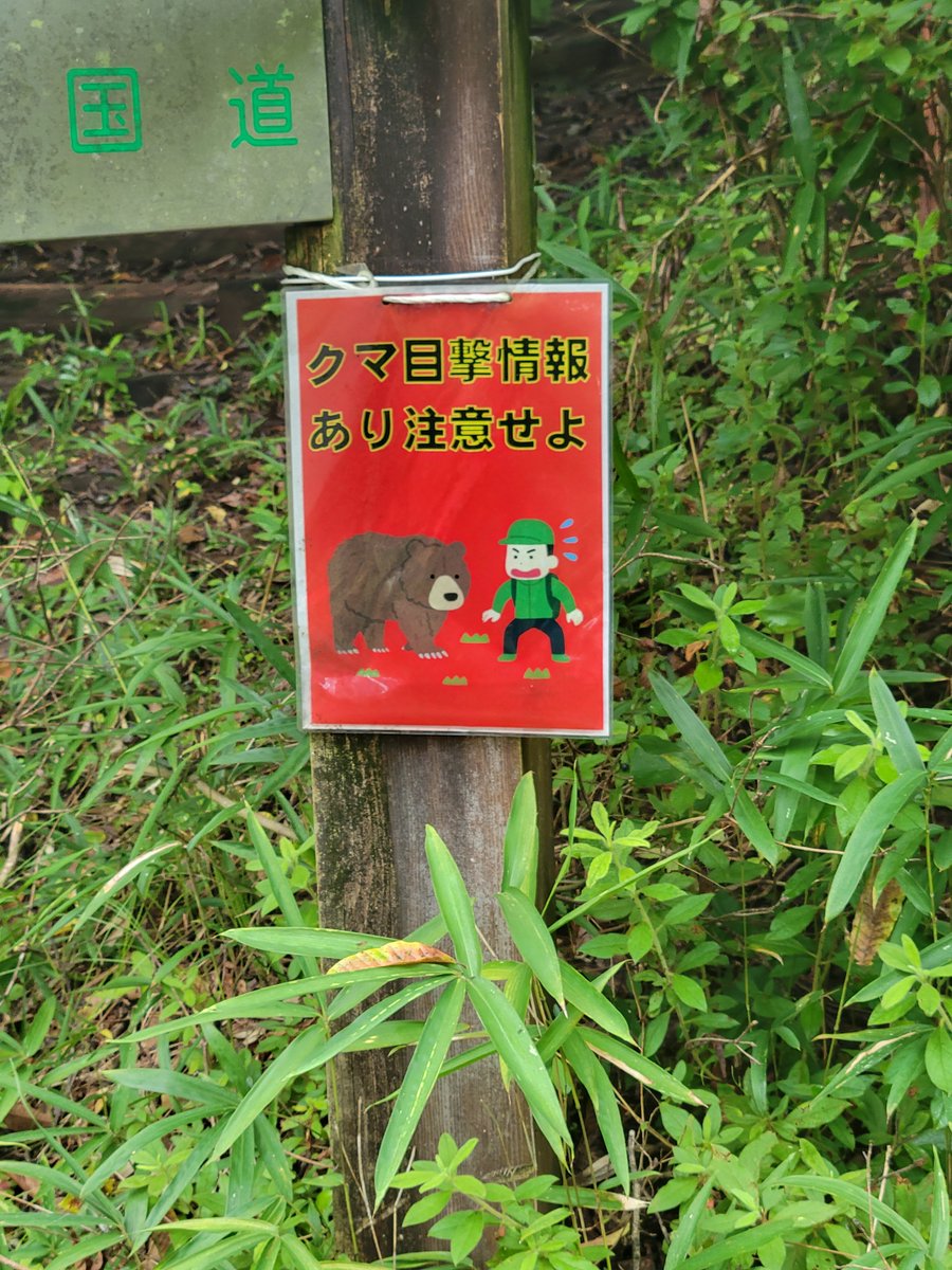 fireblade_708's tweet photo. 続いて｢神野山｣(こうのやま)
標高は680mほどで
生駒山と同じくらいの高さです

山頂はかなり涼しく快適です
眺望も360度ぐるりと
見渡せて素晴らしいです

ただ、熊🐻️の目撃情報があり
注意して登りましょう！
((((;ﾟ;Д;ﾟ;))))ｶﾀｶﾀｶﾀｶﾀｶﾀｶﾀｶﾀ https://t.co/OZvoLmq7dW
