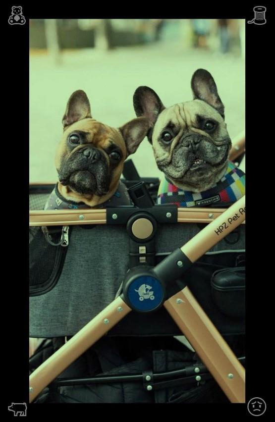 sodunke2's tweet photo. Stop losing your daily development time to endless, mindless scrolling. Move those squandered hours toward acquiring new skills and mapping out your objectives, and disciplined time control will deliver noticeable improvements in just a few weeks.🧲Video Game with Sister The sis https://t.co/UM5h89zrWe