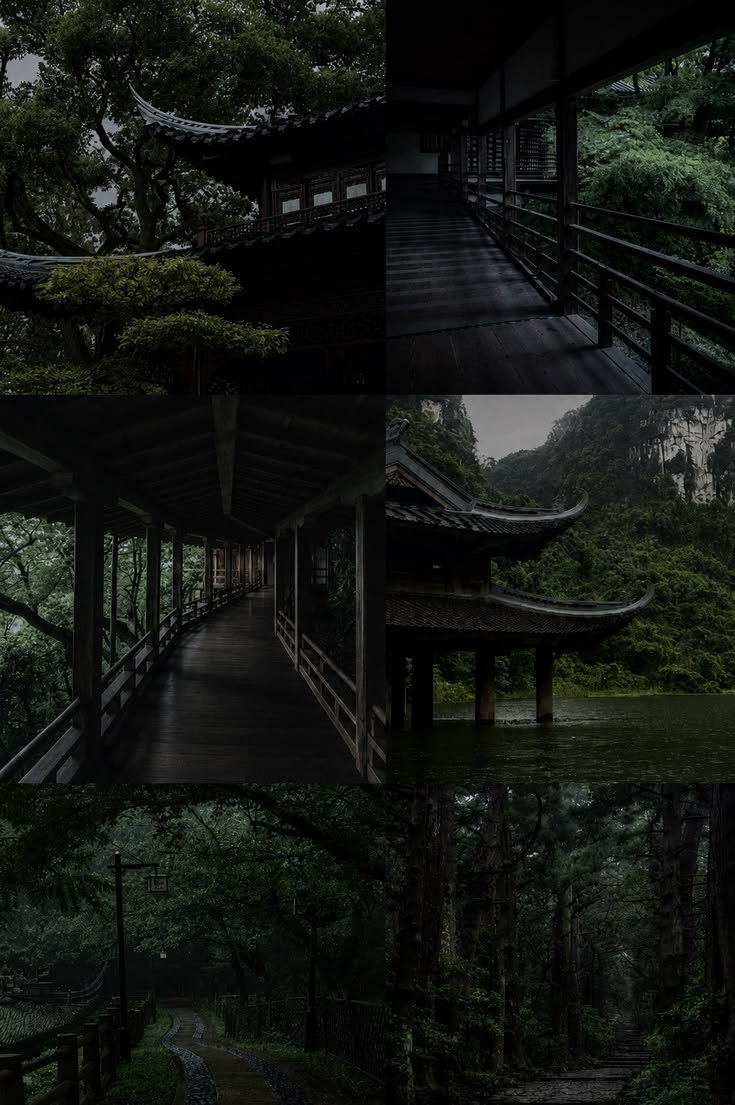 elemmiressoul's tweet photo. dark-green.🖤 https://t.co/8esoi9zfvr