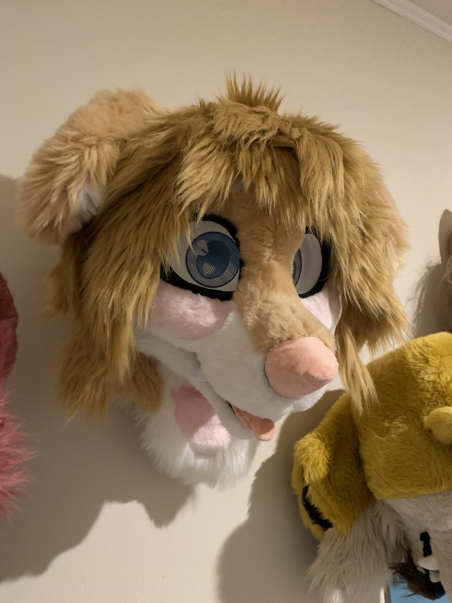 CraftyGolden's tweet photo. Wowza I haven’t posted on here in a hot minute 😅
I still make fursuits!! I’m very active on my telegram channel if you wanna keep up to speed with my current projects! 
For now here’s everything I’ve made since the FCL 24’ premade! https://t.co/KZGg3Cmy8y