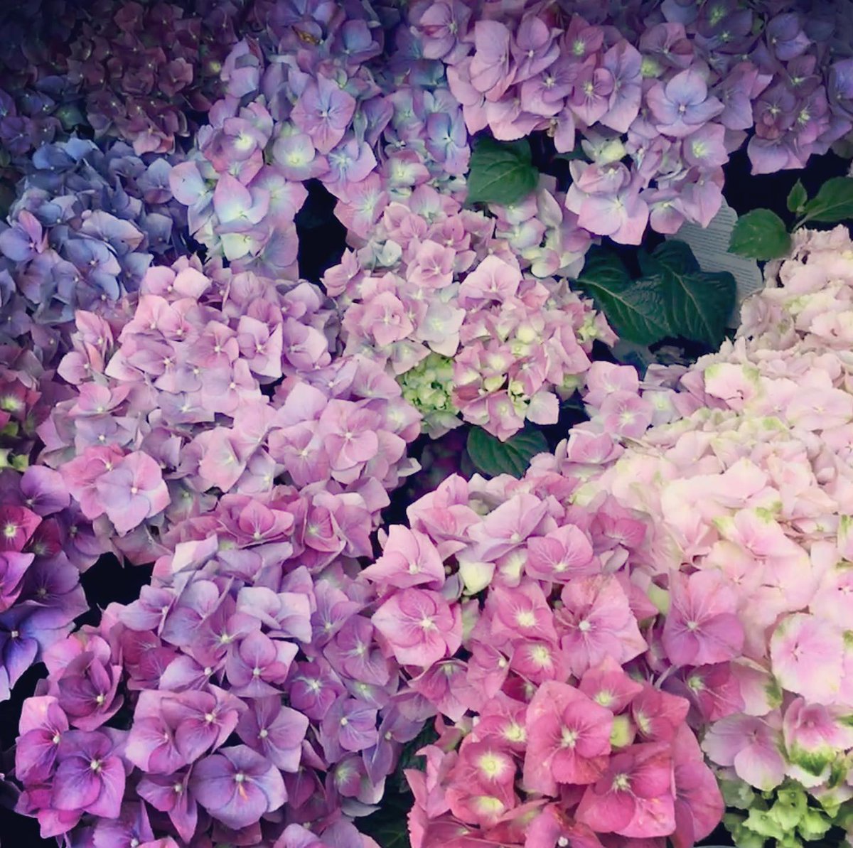 06rush90's tweet photo. So beautiful. https://t.co/uVFq3t6hpI