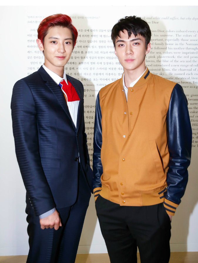 sechantism's tweet photo. Was tryna find good exo fics and i scrolled so far i reached a fic with kris in the tags https://t.co/l6LUESqLkS