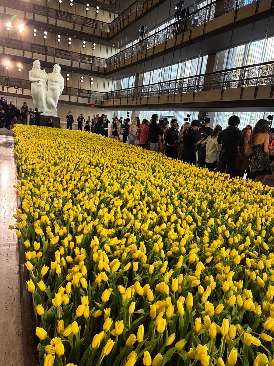VVFriedman's tweet photo. 20,000 yellow tulips amid the runway at Caroline Herrera, that wil become mulch for the city parks after the show. https://t.co/ALezHjt8lO