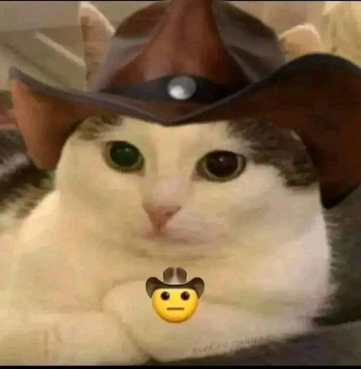 PunchingCat's tweet photo. https://t.co/1pt65RJ9Su