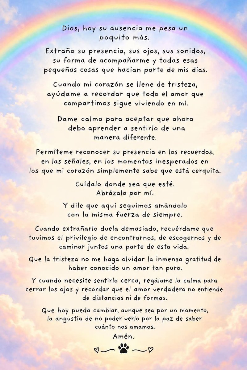Cat_Zzie's tweet photo. Mi hijito,  mi Biguin amado...😭💔 https://t.co/XfShj6y7Ud