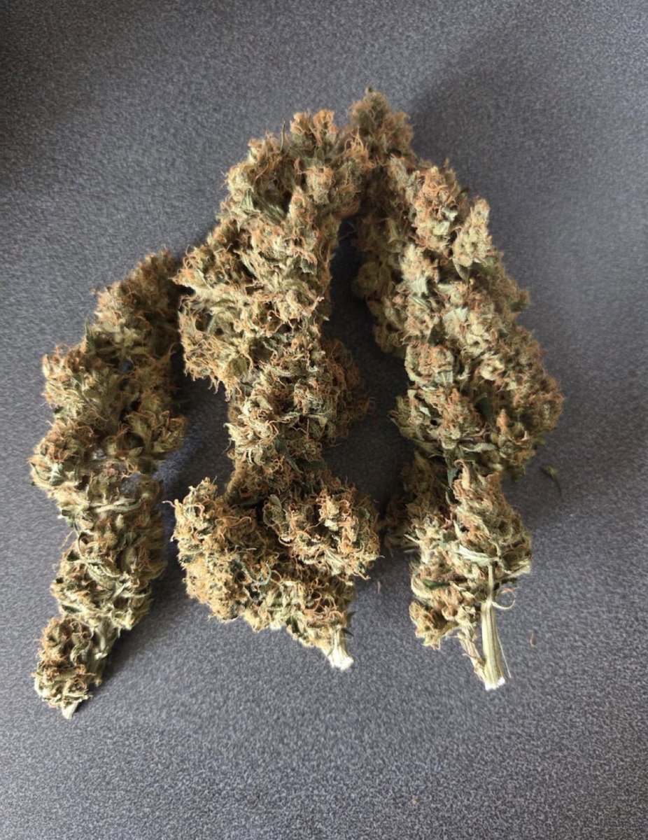 ScotWalkerbg's tweet photo. Fluffy nugs

look fluffy and loose 🤷. https://t.co/hX7f9Z0QdE