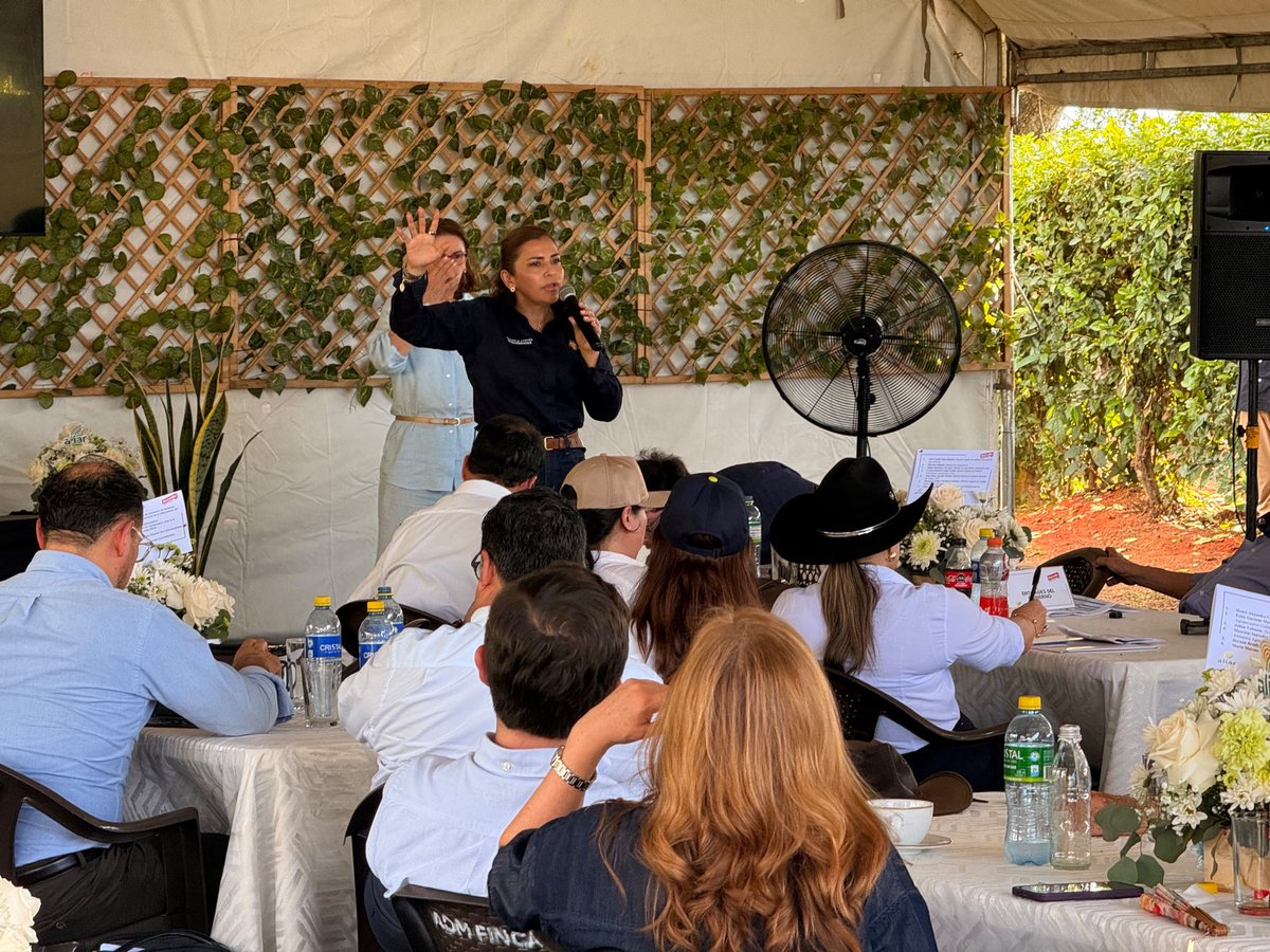 RafaelaCortesZ's tweet photo. Hoy el Meta sentó en una misma mesa al Gobierno Nacional, empresarios, gremios y organismos internacionales @infopresidencia @DapreCol, @MinAgricultura, @MinAmbienteCo, @MinTransporteCo, @DNP_Colombia, @InviasOficial, @ICACOLOMBIA, @AgenciaTierras, @URestitucion, @ColombiaCompite, @el_BID, para hablar de inversión, infraestructura, producción y desarrollo.

Soy optimista: la Amazorinoquia tiene todo para convertirse en una potencia productiva y el Meta está listo para liderar esa nueva etapa.

Durante mucho tiempo nuestra región ha sido noticia por sus dificultades. Queremos cambiar esos titulares: que Colombia y el mundo hablen del Meta por la inversión que atrae, el empleo que genera, su agroindustria, su biodiversidad y todo lo que somos capaces de construir.

Hoy dimos un paso importante para que eso empiece a pasar.