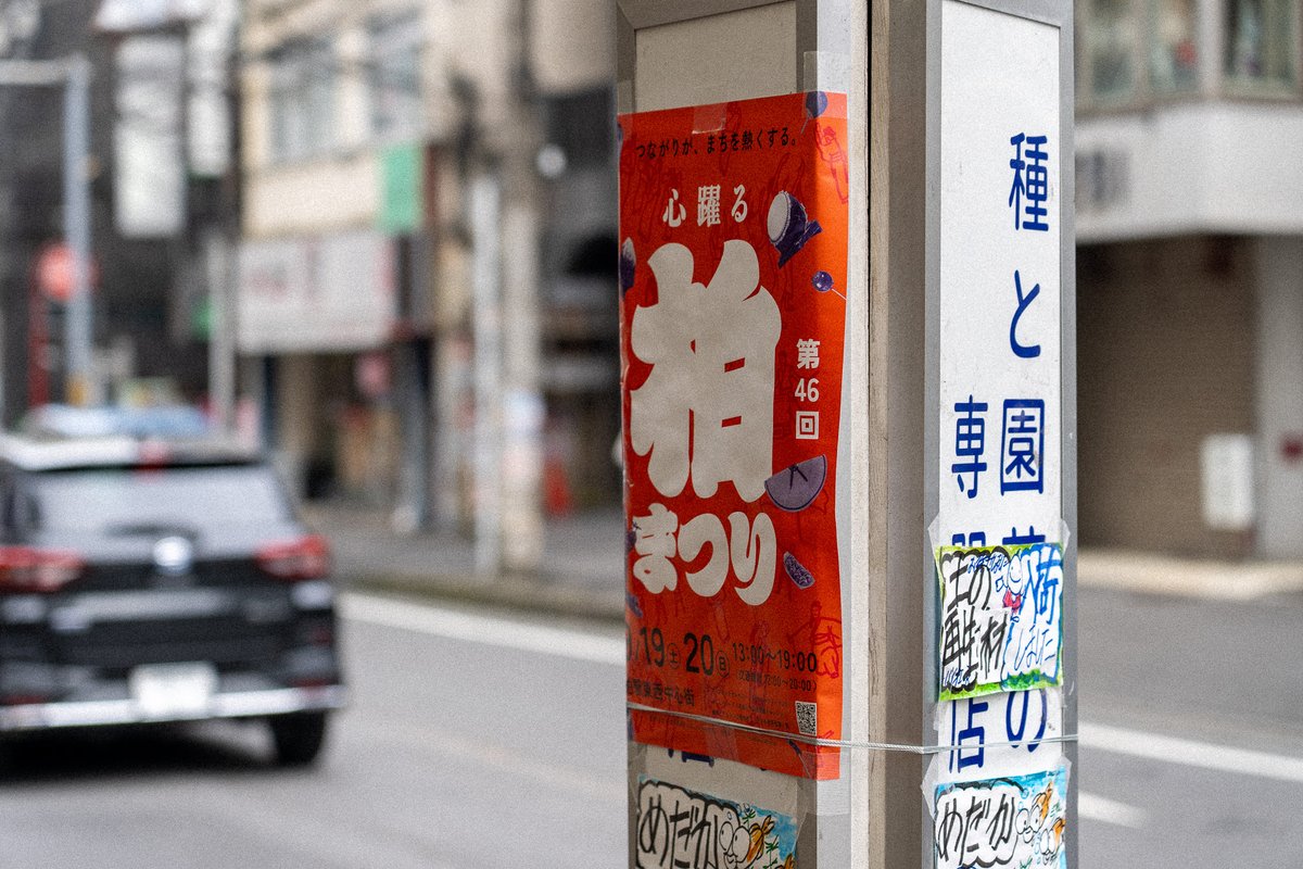 kashiwa_matsuri's tweet photo. ＼柏のまちに、柏まつり。／

いよいよ今週末は柏まつり🏮

 柏駅周辺のお店や街なかを、オレンジ色のポスターが彩っています。

掲示にご協力いただいている皆さま、ありがとうございます！

#柏まつり #柏まつり2026 https://t.co/MYT2NzS2Cx