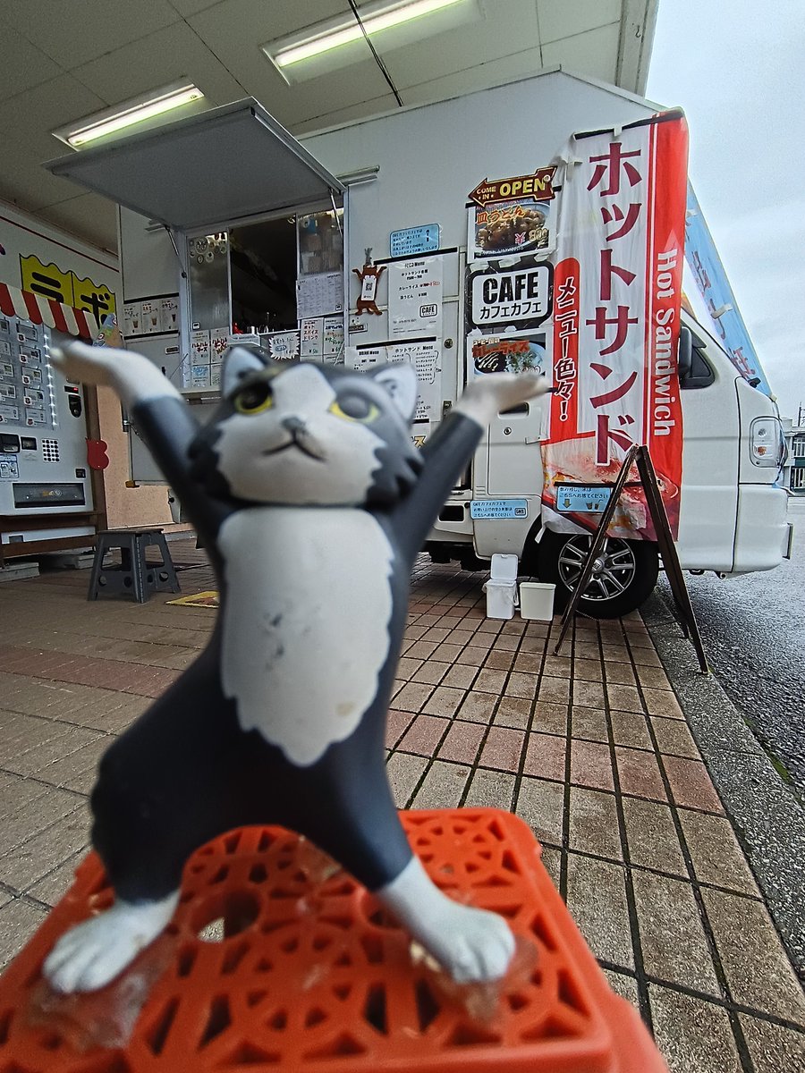 cafecafetarou's tweet photo. CAFEカフェカフェです🚐

9/15  は上市町の上市ショッピングタウンパルで
今から18:00くらいまで営業します
熱々のホットサンド🥪と水出しコーヒー🥤はいかがですか?冷凍みかん🍊とアレ😜ありまぁす😊

#富山県上市町
#ホットサンド
#パル
#水出しコーヒー
#cafeカフェカフェ https://t.co/cCbTeZFIgB
