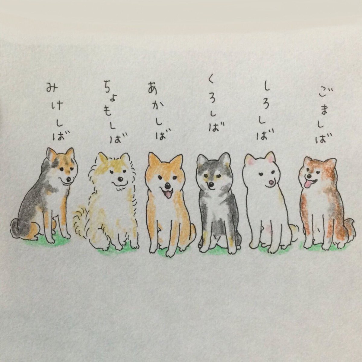KatteniCampaign's tweet photo. 基本と応用の六柴 https://t.co/VG81dC1Nwx