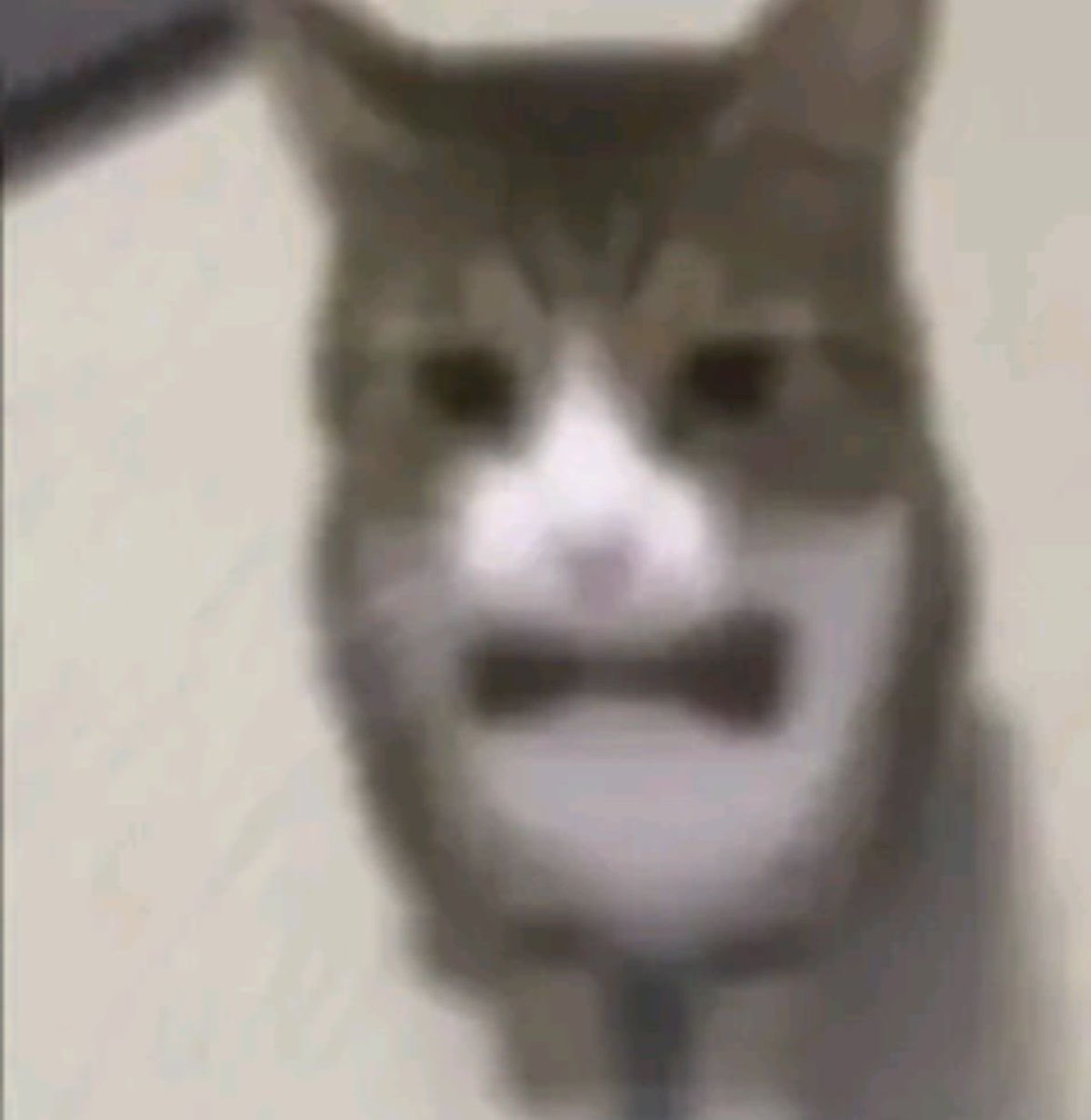 mlemmeaw's tweet photo. I think I’m addicted https://t.co/Ec43tKy3ps