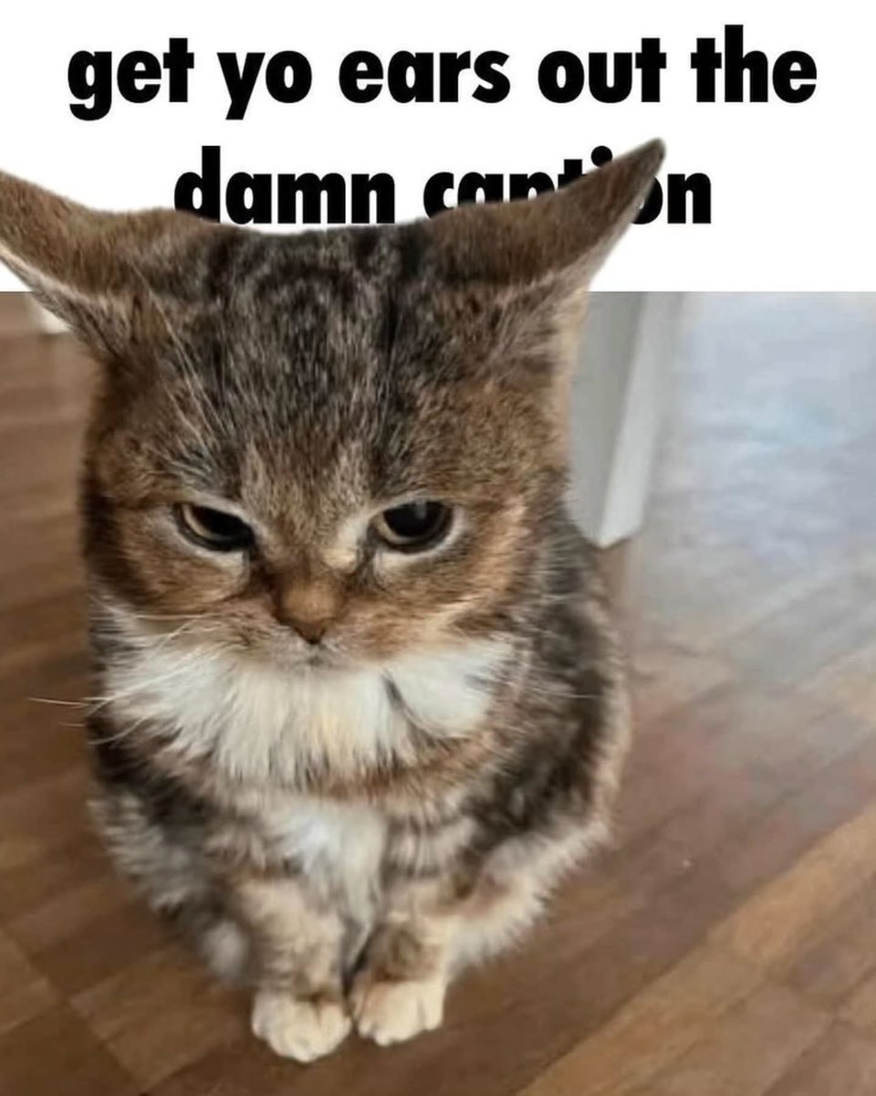 PunchingCat's tweet photo. https://t.co/xte2FQkydB