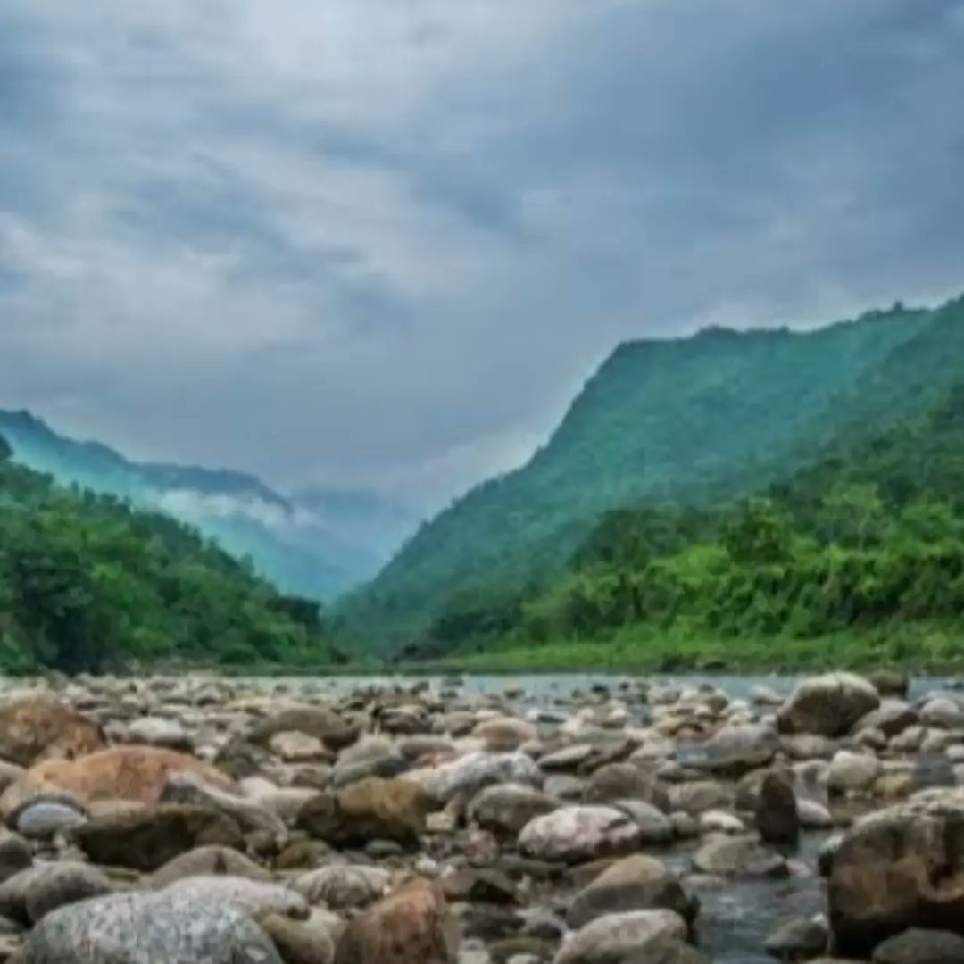 malene1234's tweet photo. ���🏞️ https://t.co/3x1IEbd4sz