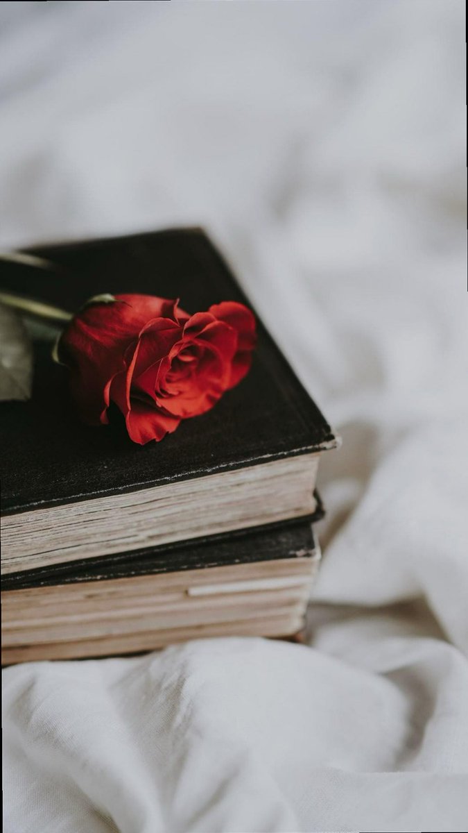 ParticiaWibeto's tweet photo. 🔧🎓🦩🧰
One good part of today: I kept things simple with a few pages before bed. Ordinary days deserve more credit. https://t.co/lx8pXdHOao