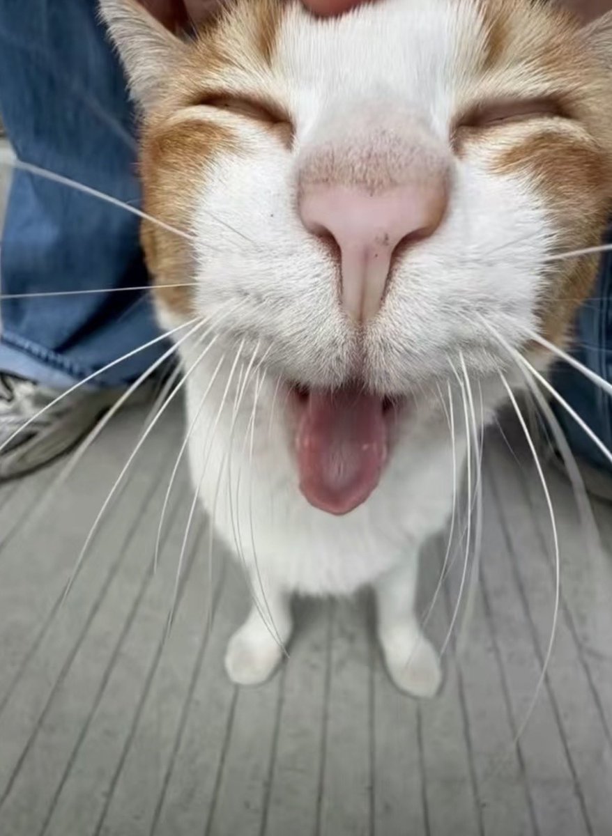 twaniimals's tweet photo. https://t.co/0HcWph2tBx