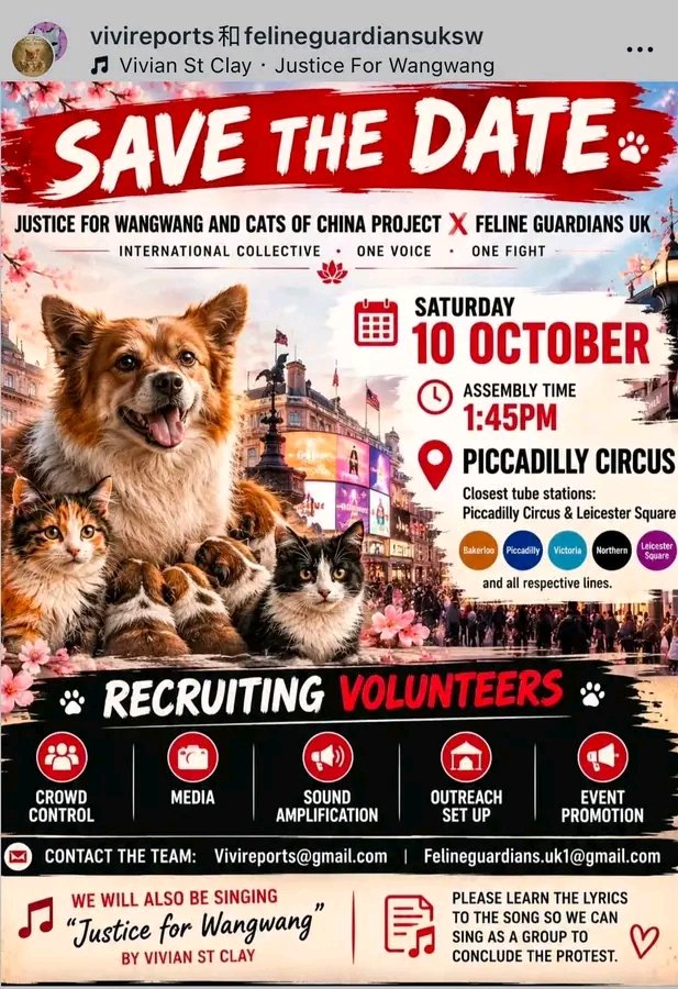 Fergie_dadog's tweet photo. #justiceforwangwang #wangwang #stopcattorture #JusticeForCatsOfChina
#ChinaAnimalProtectionLaw
#BoycottChina #ChinaTourism #ChinaTourPackage #animallover #FelineGuardiansUK
#FelineGuardians #protectanimals #FelinesofNewYork #AnimalAbuse #StopAnimalCruelty #protectanimals https://t.co/vahkewAHXx