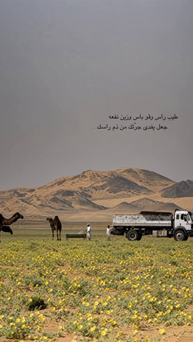 M3kkaz's tweet photo. شعر مدح :

طيب راس وقو باس وزين نفعه
جعل يفدى جرّتك من ذم راسك . https://t.co/WcuQ4myQWs